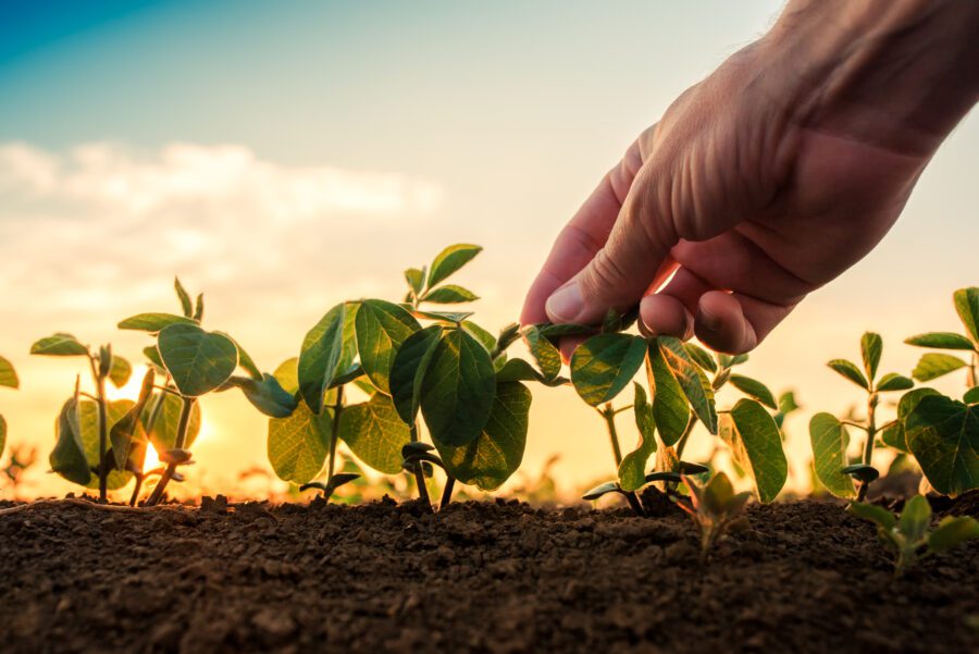 Agro Sustentar Agronegócio Meio Ambiente E Sustentabilidade