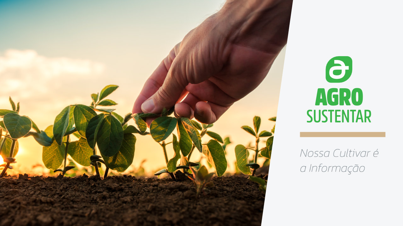 Sustentabilidade no Agronegócio: o Futuro Começa por Aqui.