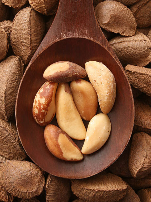 Conheça a Cadeia Produtiva da Castanha-da-Amazônia (Copia)