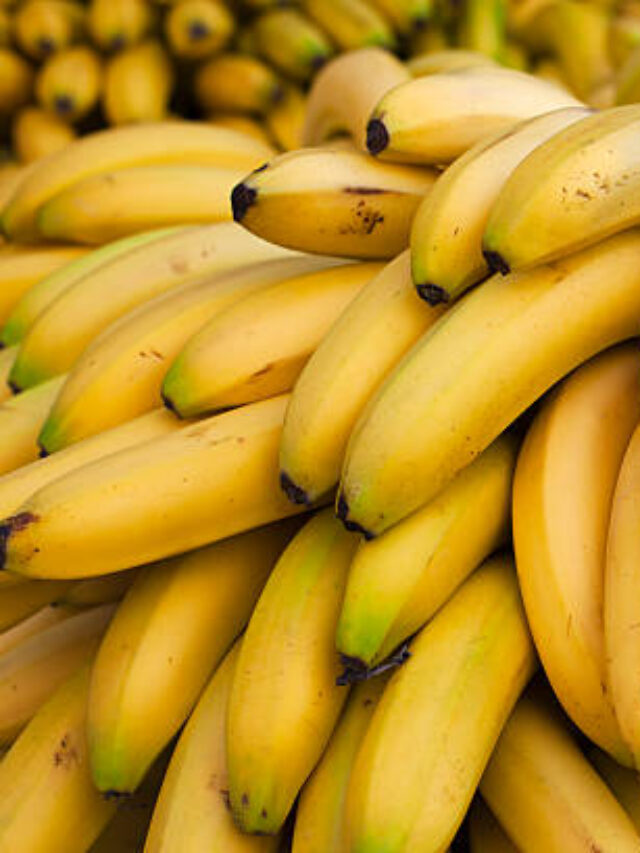 Os Maiores Produtores de Banana do Brasil