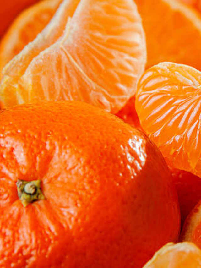 Agricultura no Rio de Janeiro: TOP 10 Produtos Agrícolas na Safra 2023/24