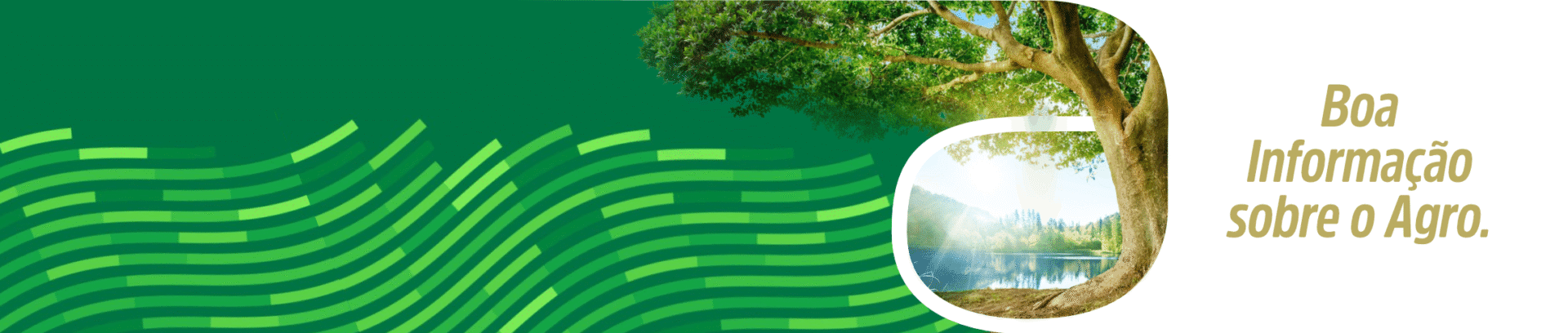 Agro Sustentar, boa informação sobre o agronegócio.