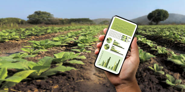 Agricultura Sustentável