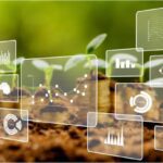 VBP da Agropecuária Projeta Crescimento de 11,9% em 2025