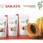 Sakata e Semillas del Caribe se unem para revolucionar o mercado de mamão no Brasil