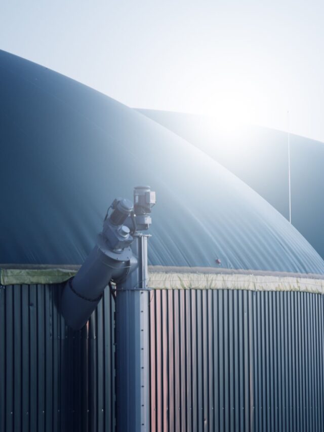 Nova tecnologia converte resíduos de hortifrúti em energia limpa