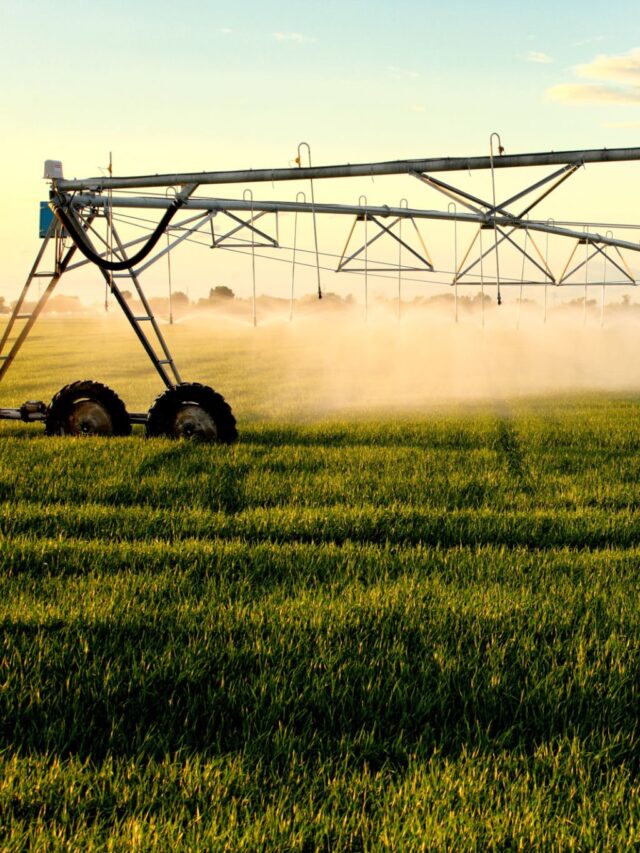 EUA: Irrigação gera mais de 50% da receita de safras com menos água